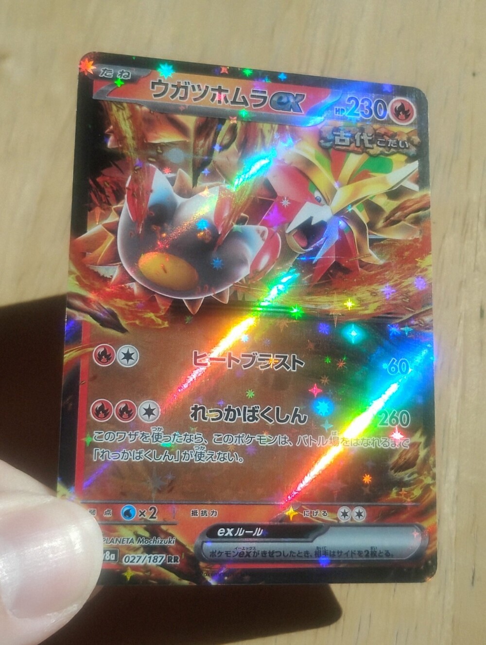 Mint Japanese Holo Gouging Fire EX Double Rare Terastal Festival Pokemon Card